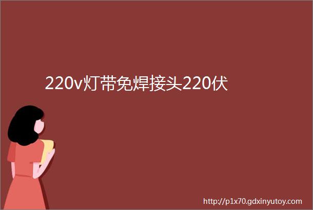 220v灯带免焊接头220伏